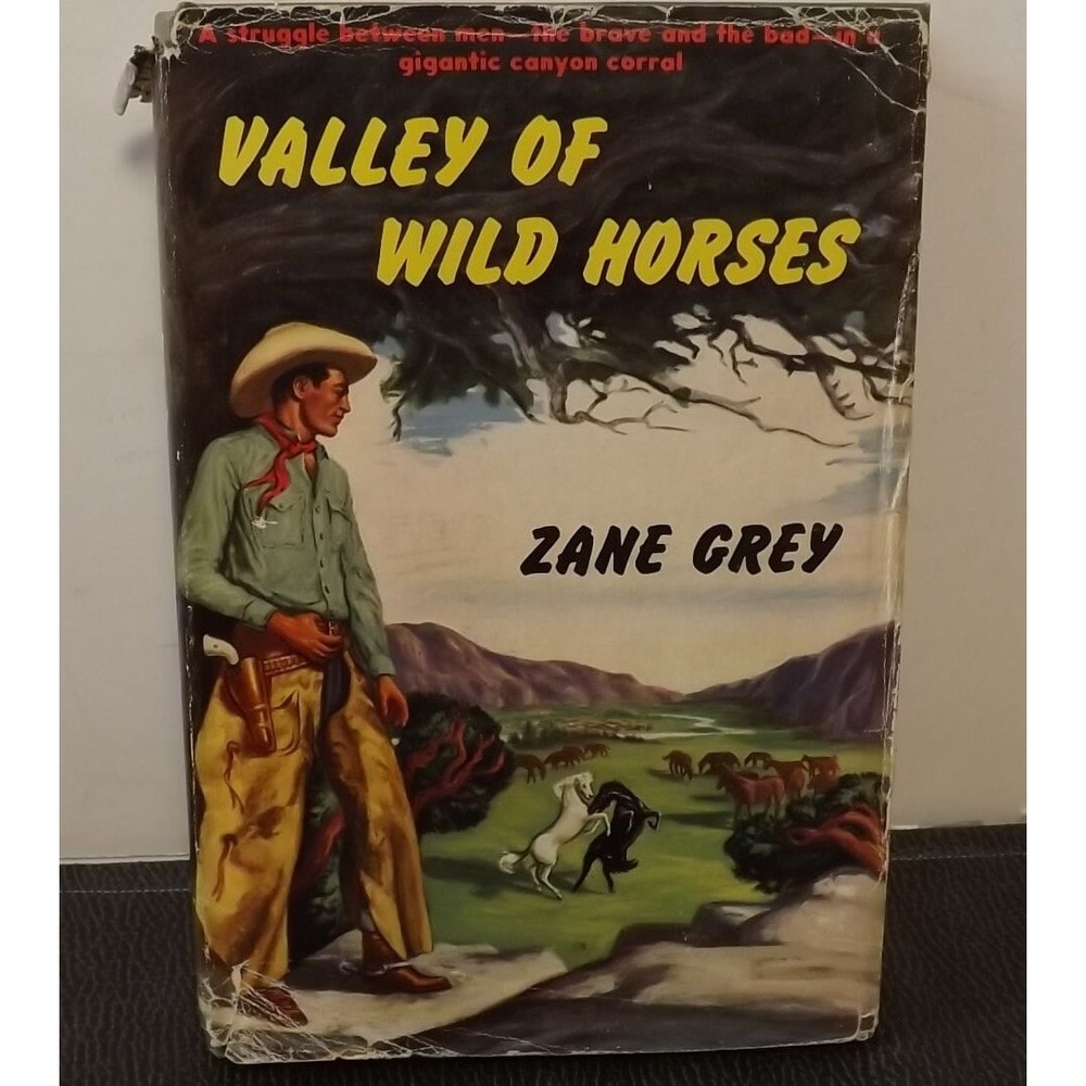 Zane Grey Valley of Wild Horses Vintage Book 1927 First Edition